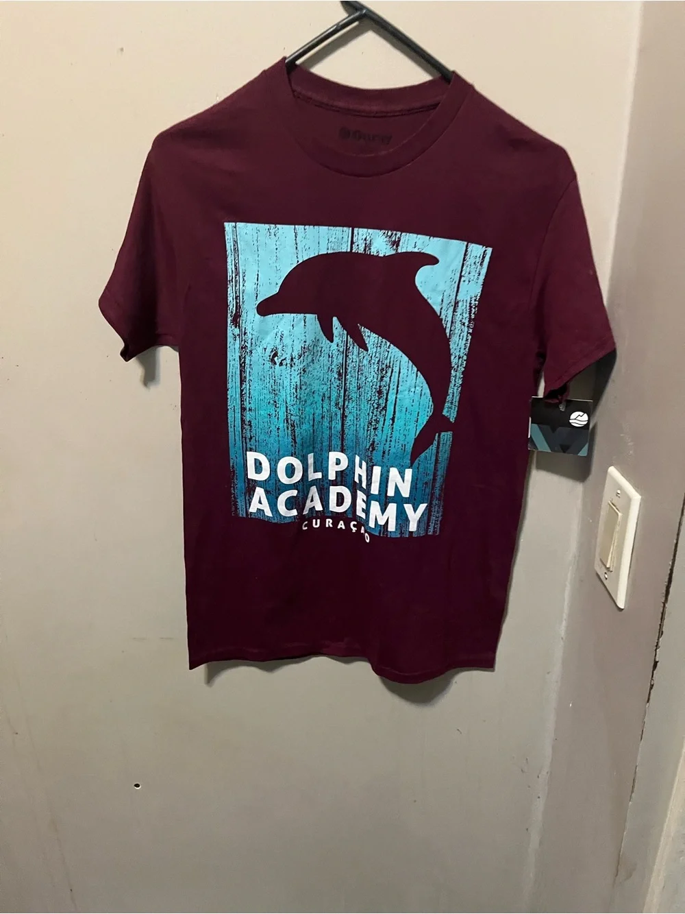 Dolphin Academy Kids Swim T-Shirt - Burgundy with Aqua Graphic